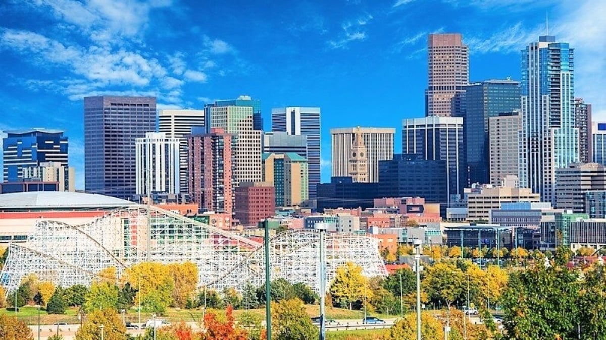 Cowboy Goods and the Big Bear! Popular Souvenirs to Buy in Denver