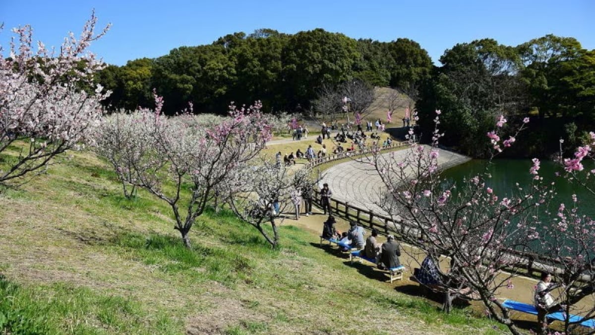 25 Recommended Sightseeing Spots in Chita City: A Stroll Through Nature and History