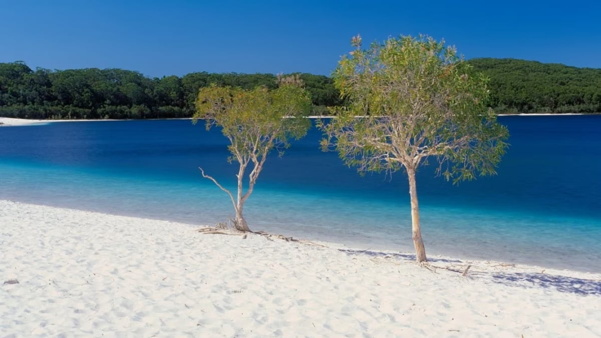 Fraser Island, Australia’s World Heritage Site | Sightseeing and experiences on the world’s largest sand island