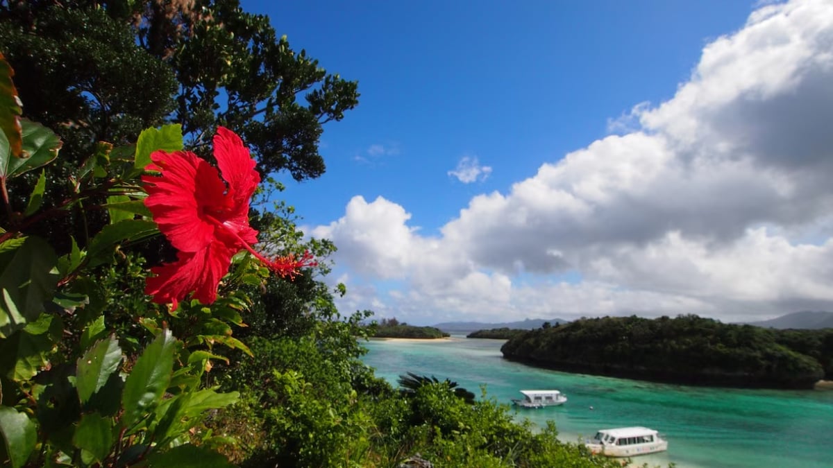 [Ishigaki Island] 20 scenic cafés! Packed with Instagram-worthy spots 💛
