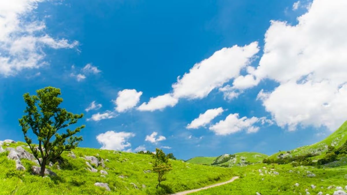 5 Must-See Scenic Spots in Fukuoka Prefecture – Discover the Charms of Fukuoka Beyond Just Hakata!