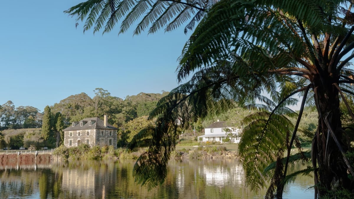 Experience nature and culture in New Zealand! 4 must-visit tourist attractions in Kerikeri