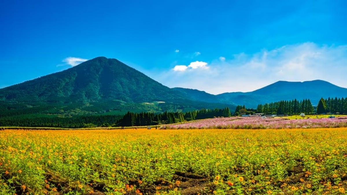 6 Recommended Tourist Spots in Ikoma Plateau and Its Surroundings