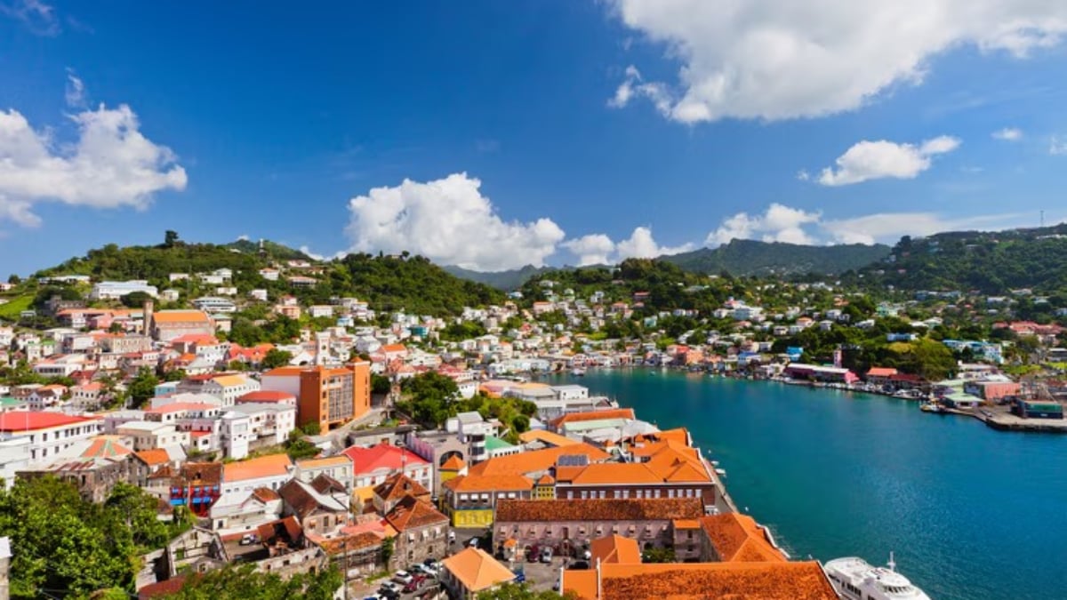 [Souvenirs from Grenada] Southern island spices and vibrant batik are recommended!
