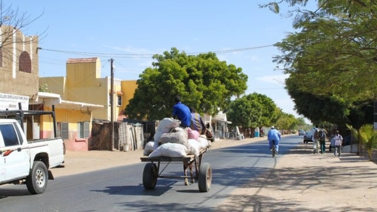 [Safety in Senegal] Relatively Stable Security in West Africa, But Caution is Still Needed