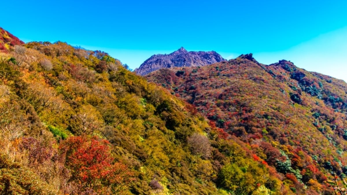 24 recommended spots to visit in Minamishimabara City, the site of the Shimabara Rebellion!