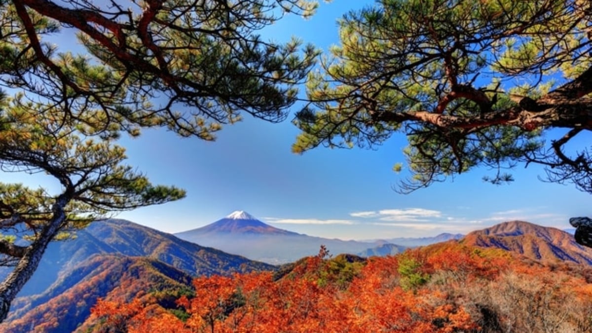 There are many interesting places to visit. We have selected 8 recommended sightseeing spots in Otsuki City