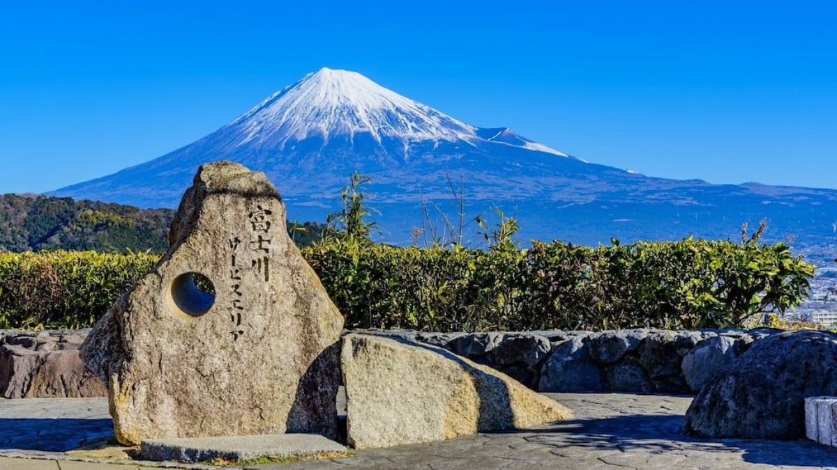 Introducing the highlights of the Fujikawa Service Area (Tomei Expressway)!