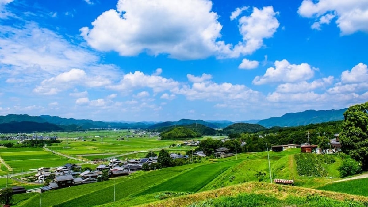 From Kyoto vegetables and sake to exquisite sweets! 4 must-buy souvenirs from Kameoka City, Kyoto Prefecture