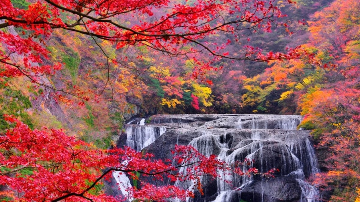 Tour of hot springs and local flavors! 4 must-see tourist spots around Fukuroda Onsen in Daigo Town!