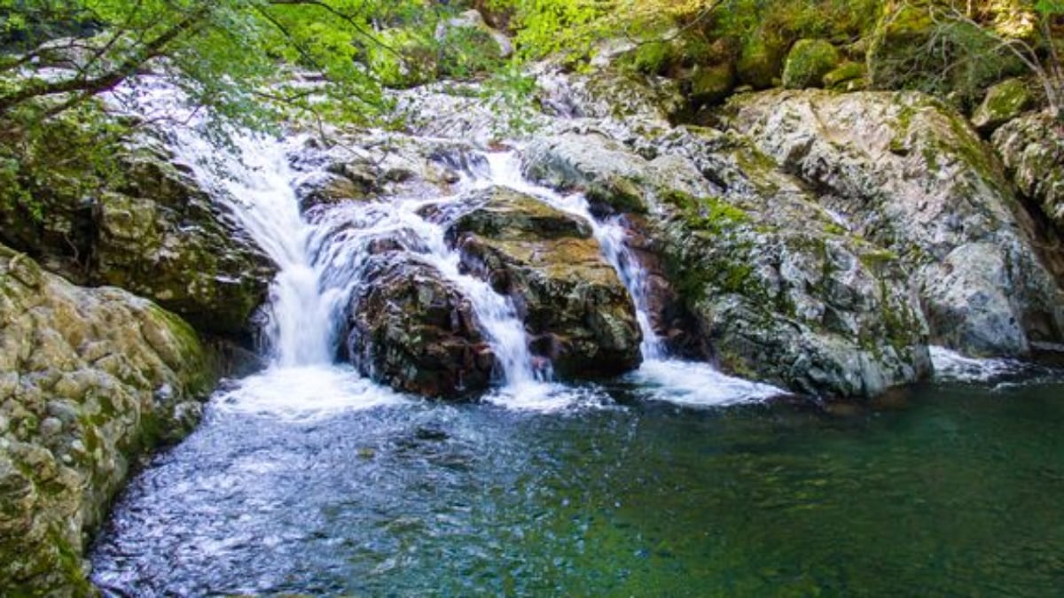 11 recommended sightseeing spots in Matsuno Town, Ehime Prefecture. Let’s go to the refreshing “Forest Country”!