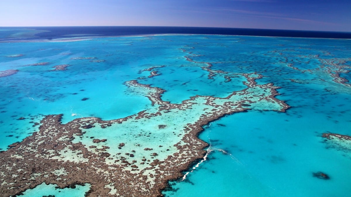 The world’s largest coral reef area! The charm of the World Heritage Great Barrier Reef