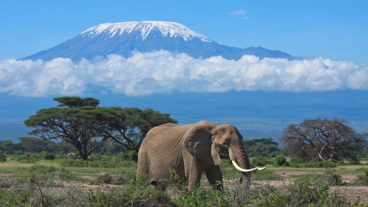 The 5-faced highest peak in Africa! Kilimanjaro National Park, a World Heritage Site
