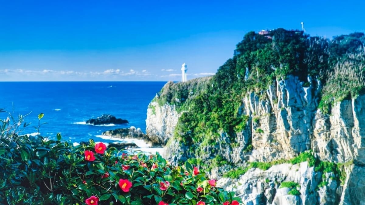Classic Sightseeing in Tosashimizu City! 7 Recommended Tourist Spots Around Cape Ashizuri