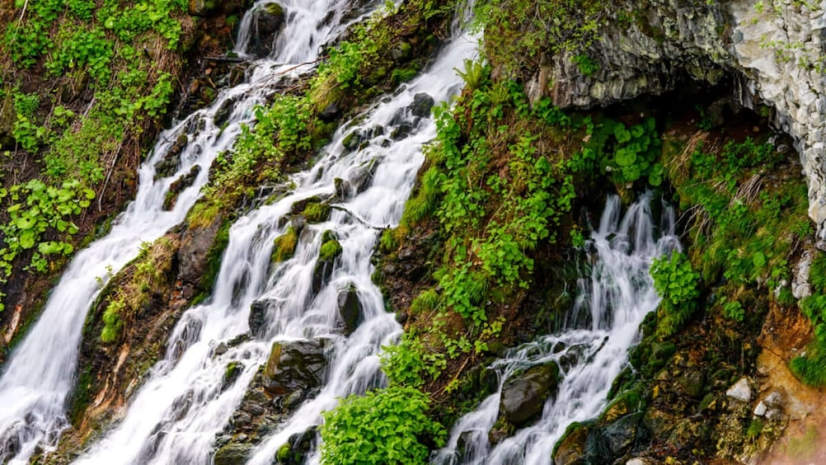 [Biei Town] Tourist Information for Shirahige Falls! Directions & Parking Info