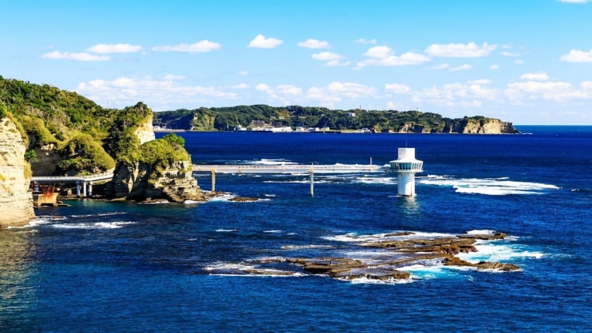 【Chiba Prefecture】Introducing a 2-Day, 1-Night Katsuura Sightseeing Model Course!