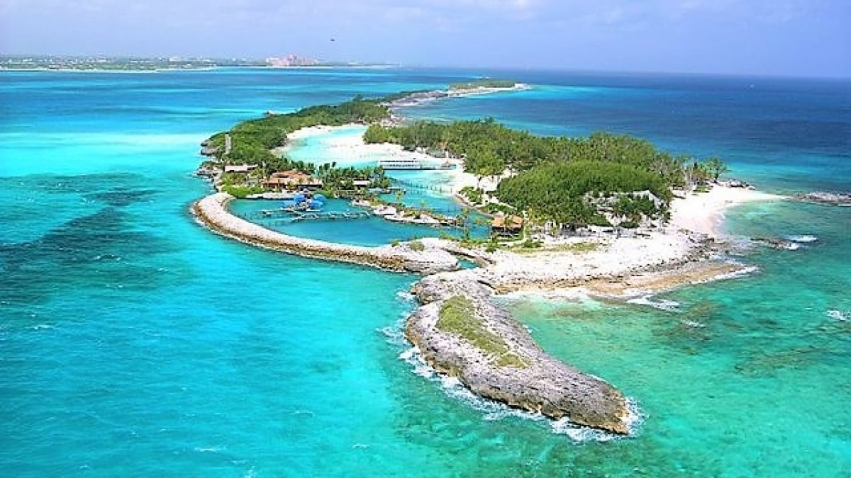 [Souvenirs from the Bahamas] Rum, rum cake, and duty-free items are recommended!