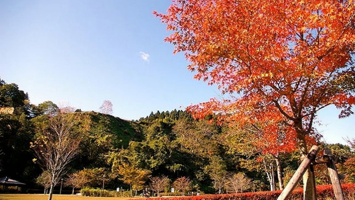 5 Recommended Tourist Spots in Ōsaki City, Miyagi Prefecture! Full of Nature-Rich Attractions!