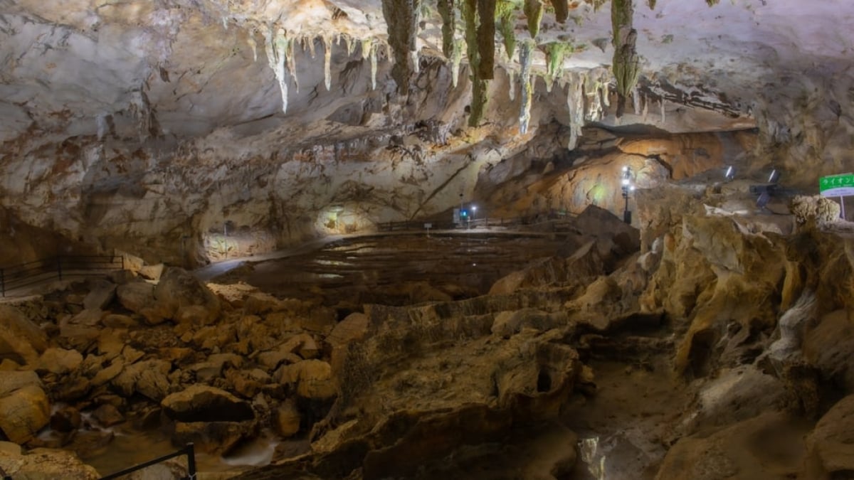 [Yamaguchi Prefecture] Introducing Tourist Information for Akiyoshido! Enjoy an Extraordinary Cave Exploration!?