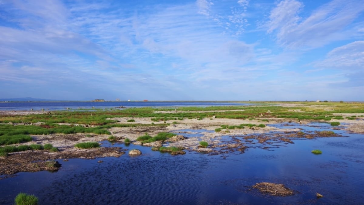 [Eastern Hokkaido] Notsuke Peninsula Travel Guide | What is This Extraordinary Scenic Spot?