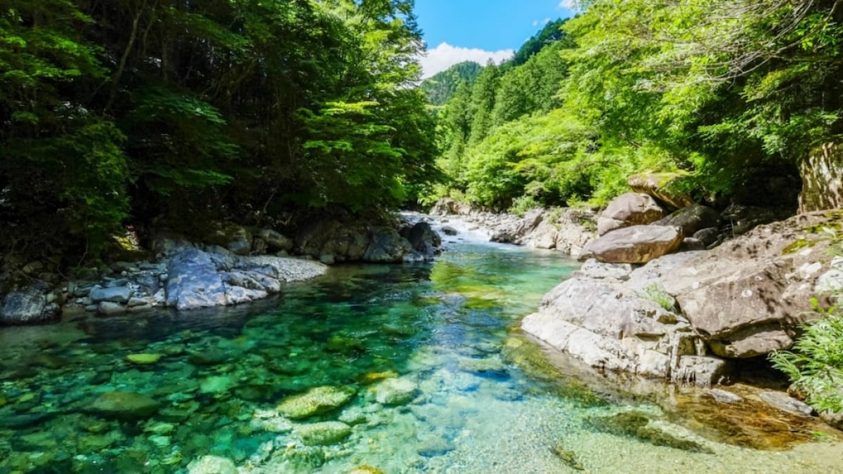 [Nagano Prefecture] Atera Valley Tourist Information Summary | Focus on the Stunningly Beautiful Atera Blue!