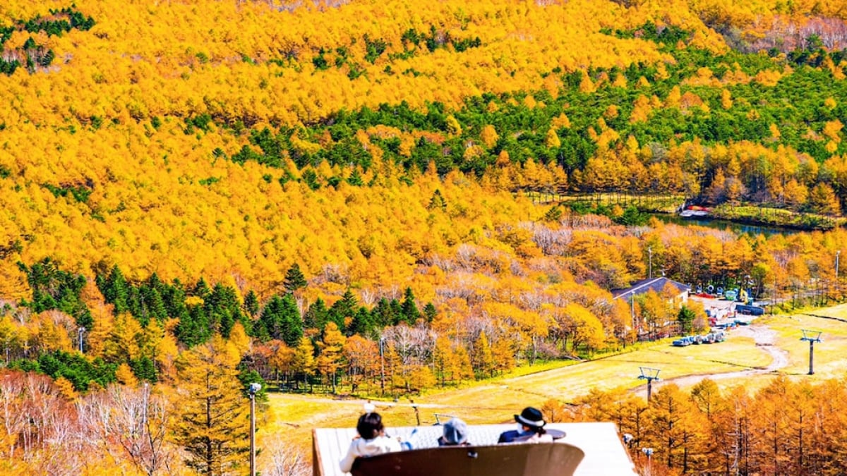 [KIYOSATO TERRACE] Elevation 1,900m! Enjoy the breathtaking “Yatsugatake Blue” view