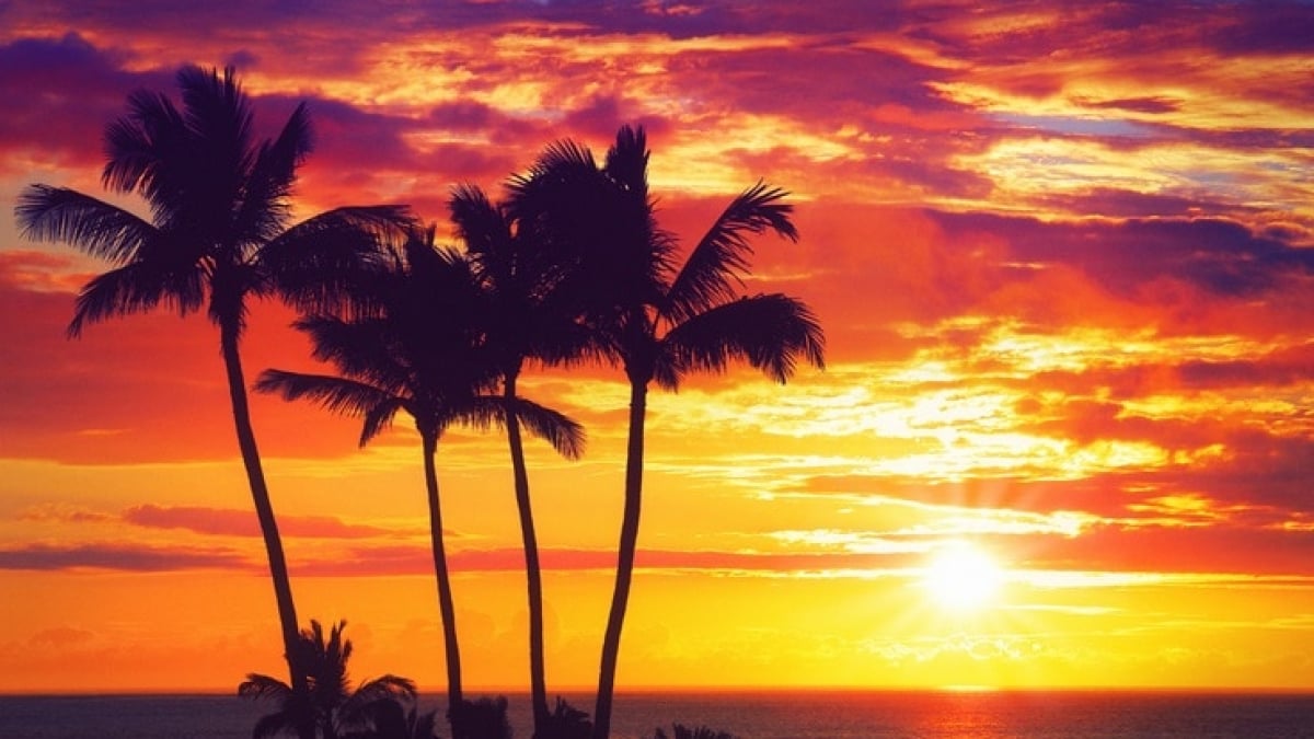 If you’re looking for a romantic sunset, check these out! 4 recommended sunset spots in Hawaii