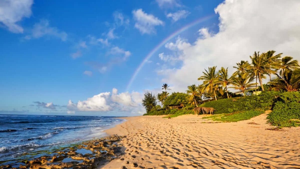 Don’t Miss the Photo Spots on Oahu’s North Shore! 4 Recommended Locations