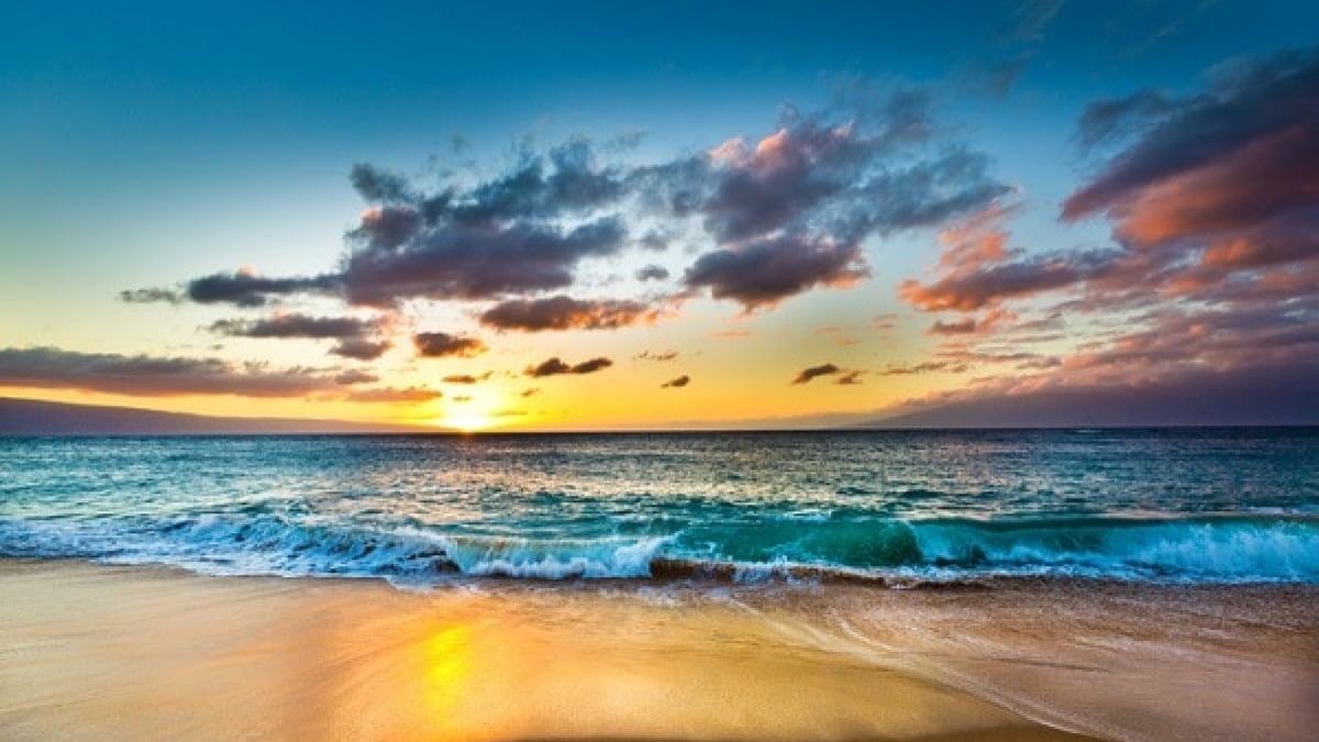 Enjoy the Ultimate Marine Leisure in Hawaii! 4 Recommended Beaches in Maui