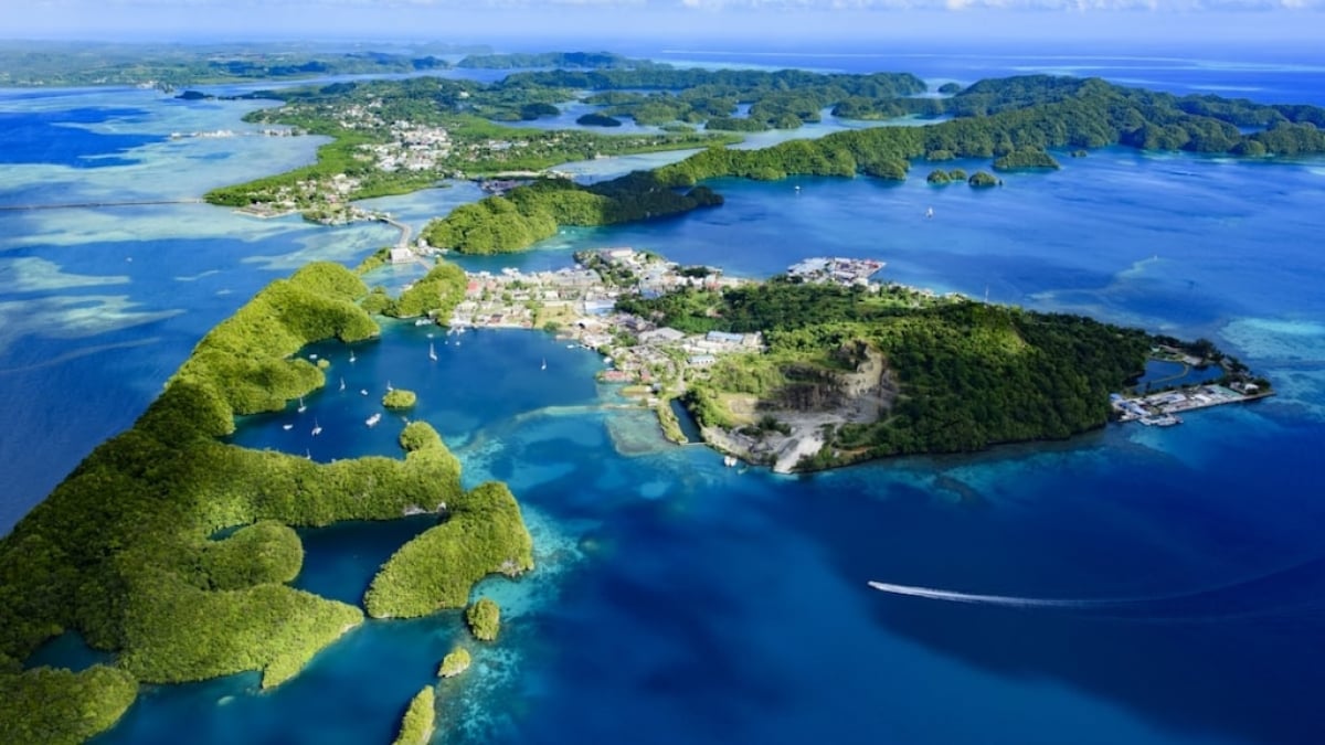 T-shirts, Handicrafts, and More! 4 Recommended Souvenirs from Micronesia