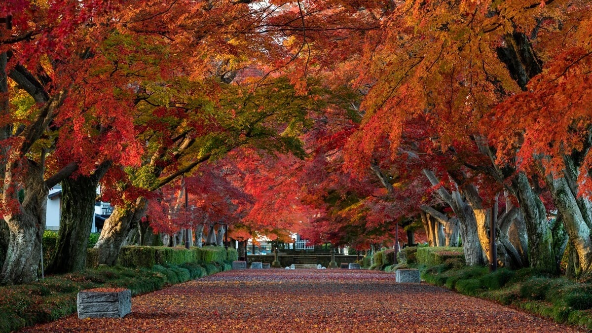 Sightseeing in Nishinasuno! Discover a peaceful destination where people and nature connect