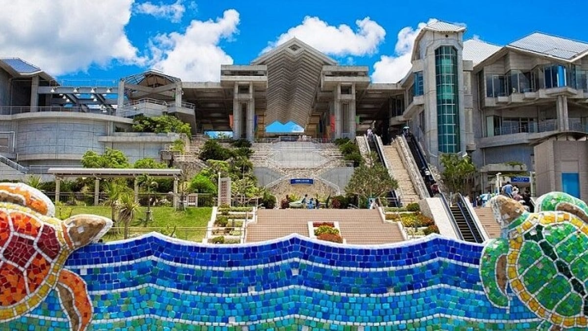5 recommended tourist spots in Motobu Town, Home to the must-visit Okinawa Churaumi Aquarium!