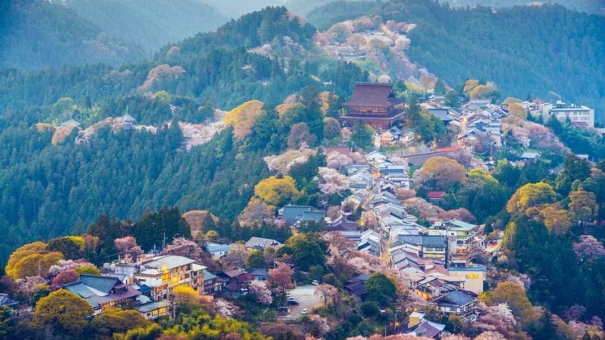 8 must-visit tourist spots in Yoshino Town that let you rediscover the beauty of Japan