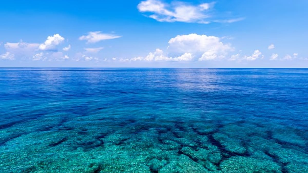 Ishigaki Island is a Coral Paradise! A Guide to Enjoying and Exploring Its Coral Reefs