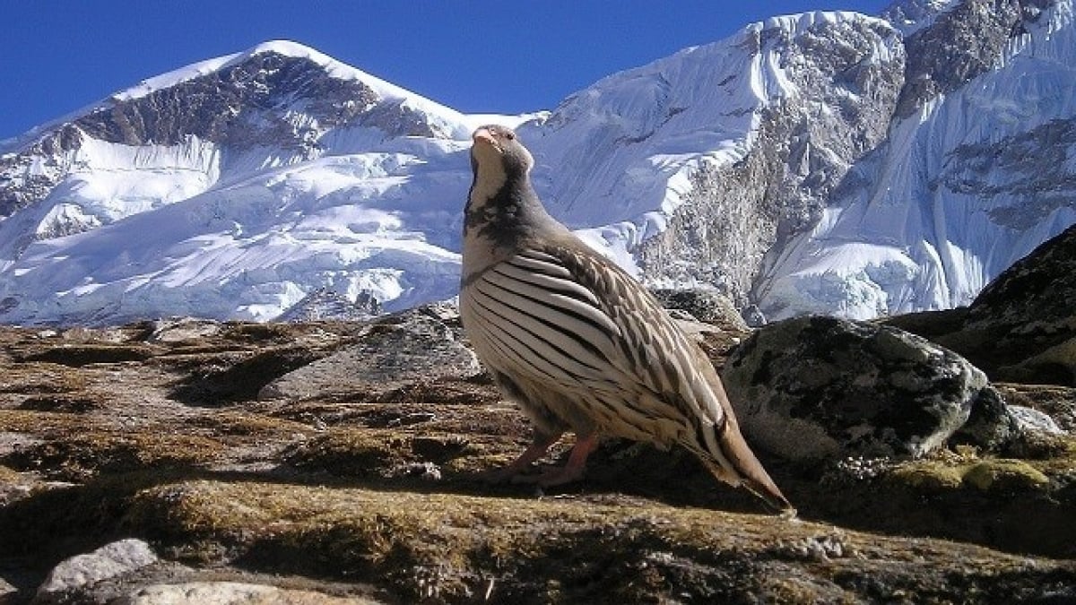 World Heritage Site in Nepal spreading at the foot of Mount Everest, the highest peak in the world!