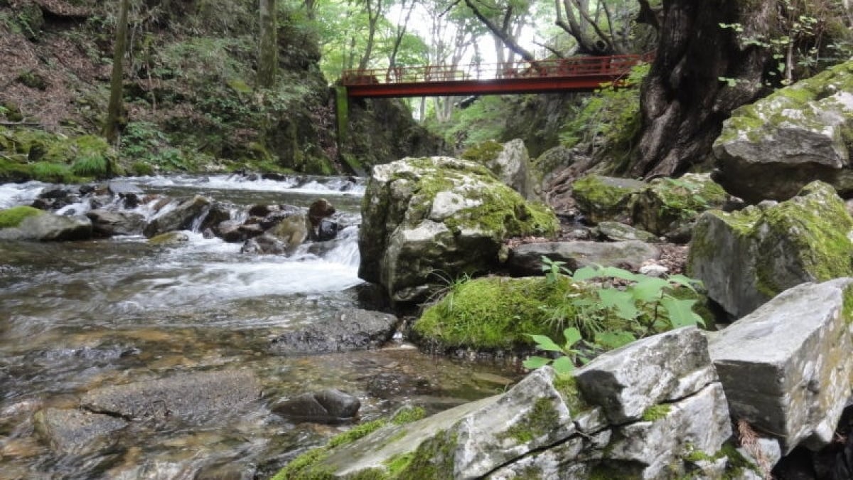 Let’s be healed by the magnificent nature that Iwate is proud of! 4 Recommended Power Spots in Iwate Prefecture