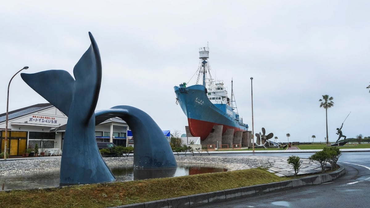 Taiji Town, Wakayama Prefecture: The Birthplace of Japanese Whaling! 5 Recommended Whale-Related Tourist Spots