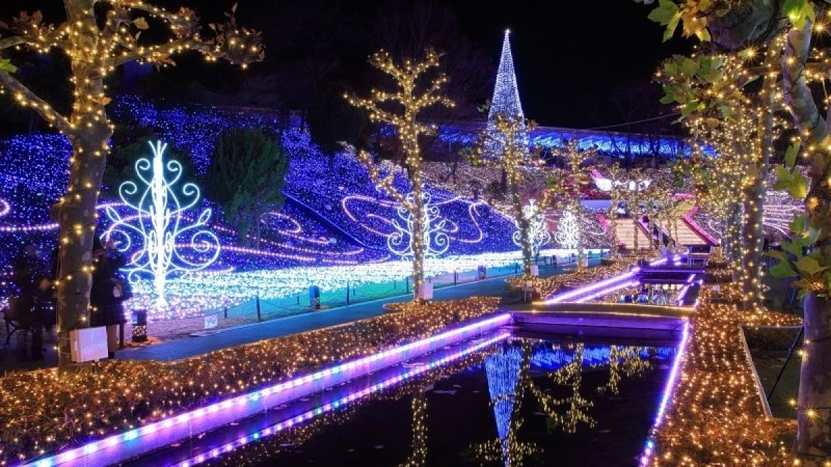 5 must-visit tourist spots in Saitama to enjoy even in the cold winter! Nordic forests and illuminations