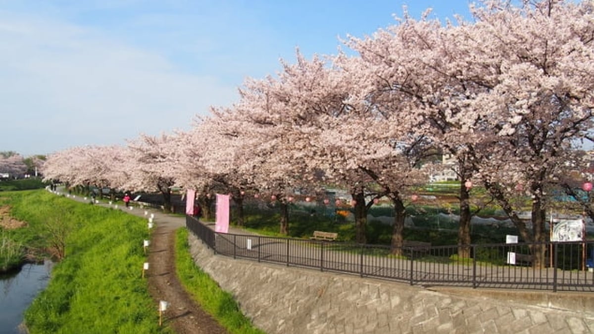 Saitama Prefecture Asaka City’s 4 recommended tourist spots! Explore the scenery of the city that gave birth to Yutaka Ozaki