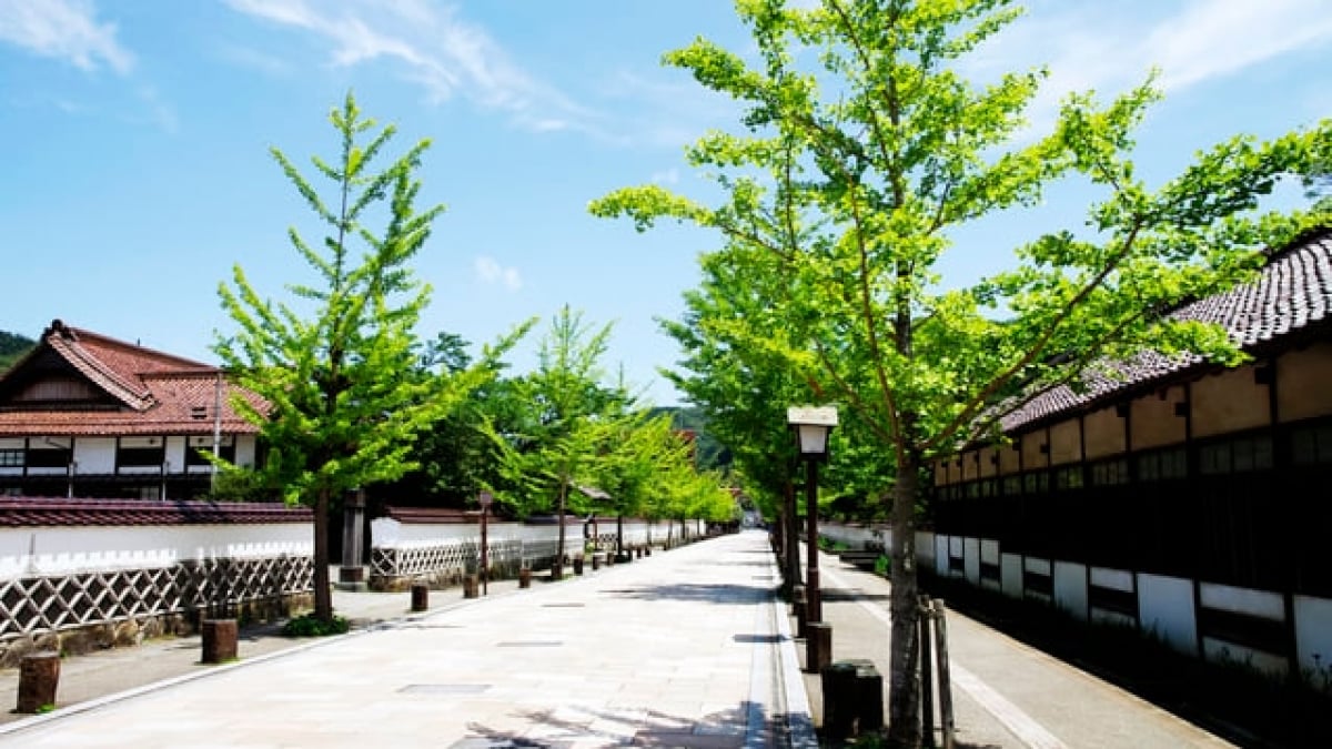 “Little Kyoto of San’in” – 5 Tourist Spots to Enjoy History and Culture in Tsuwano Town, Shimane Prefecture