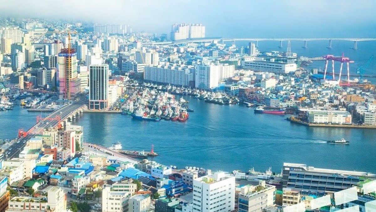 Busan’s Busiest Shopping District! 4 Recommended Shopping Spots in Nampo-dong