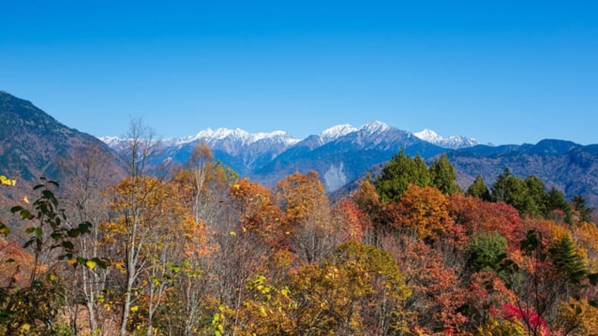 Fukuchi Onsen, the famous hot spring of the highlands, and 6 recommended sightseeing spots in the area!