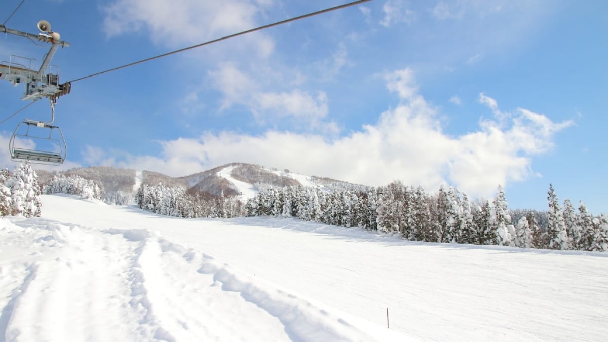 5 Recommended Must-See Spots When Touring Fukui in Winter