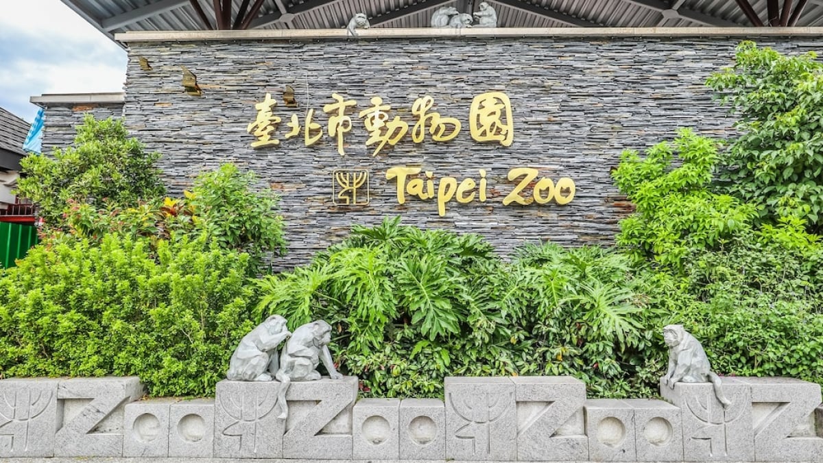 Introducing How to Access and the Highlights of the Taipei Zoo!