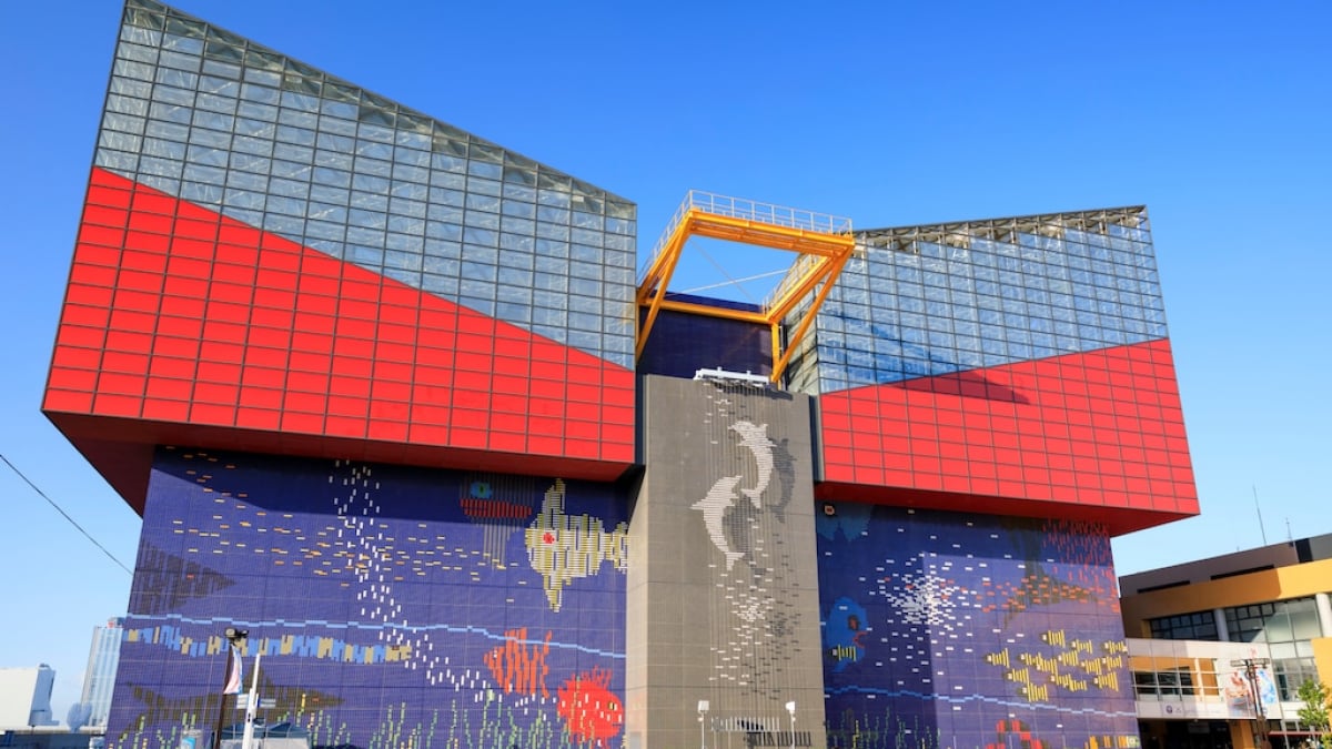 Thorough Guide to the Highlights and Events at Osaka’s Popular Attraction “Kaiyukan”