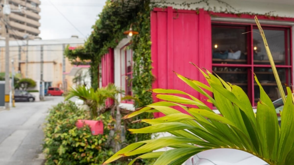 [Urasoe, Okinawa] Minatogawa Foreigners’ Housing Area is a tourist spot brimming with exotic charm!