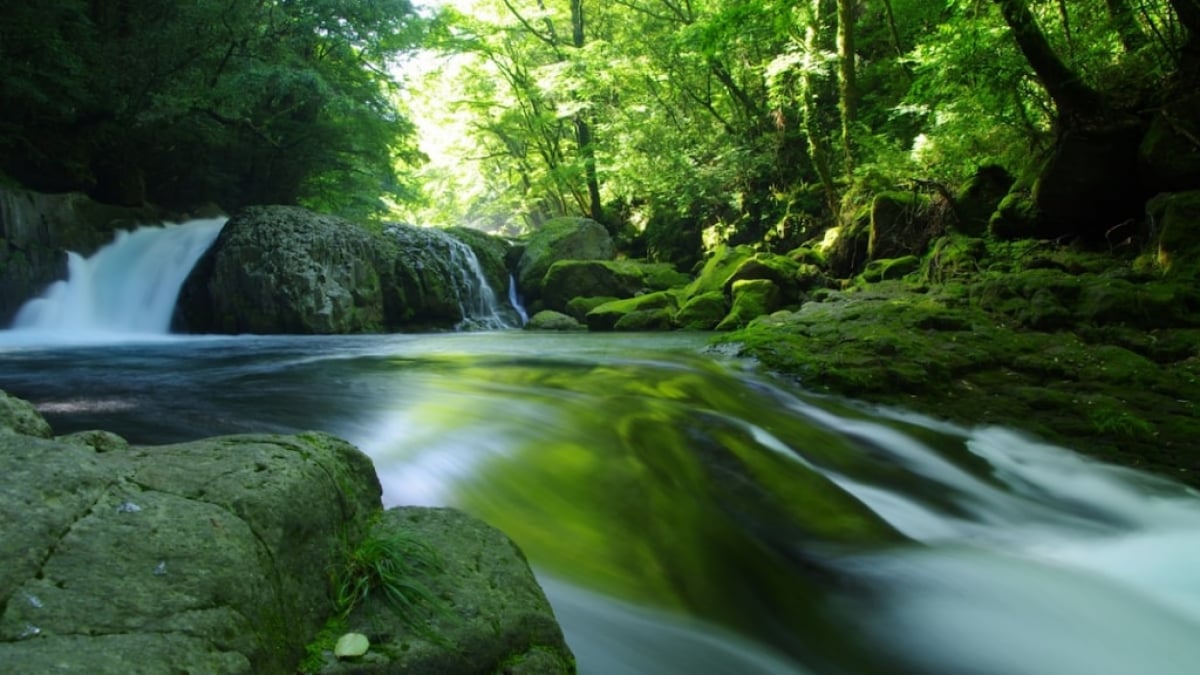 Not Just Aso! Introducing the Scenic Spot of Clear Waters and Deep Valleys: “Kikuchi Gorge”
