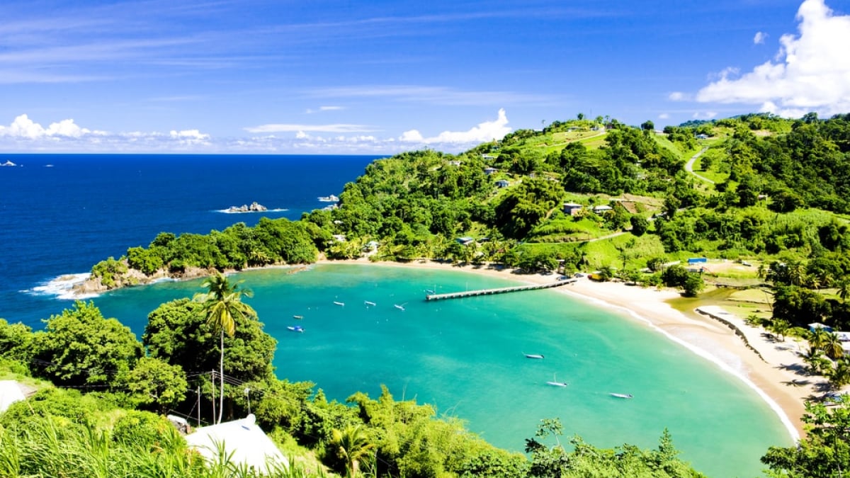 Let’s savor the nature of the Caribbean to the fullest! 8 must-see tourist spots to enjoy the charm of Tobago Island