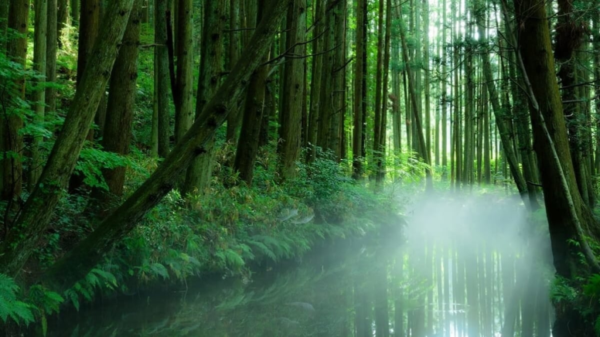 Top 5 Recommended Tourist Spots in Shōnai Town, Yamagata Prefecture — Refresh Yourself in a Town Surrounded by Abundant Nature!