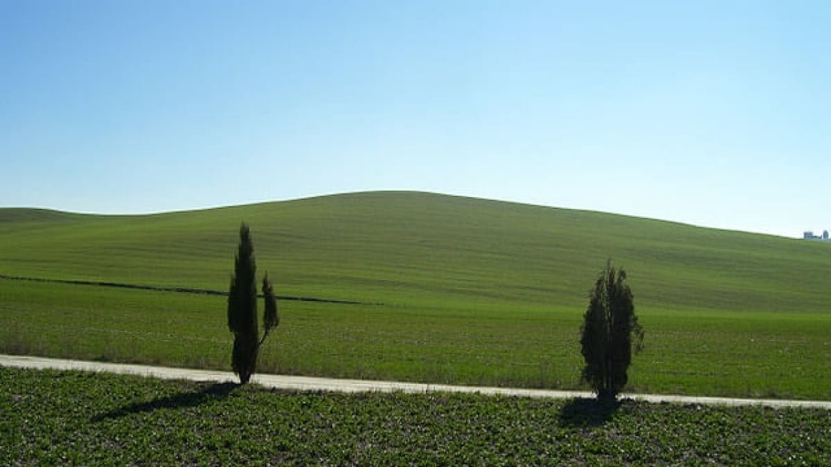 [World Heritage] What is the Val d’Orcia?｜A Picture-Perfect Scenic Landscape!